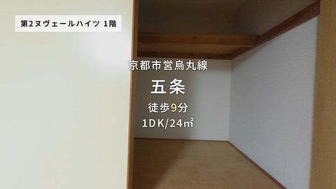 動画