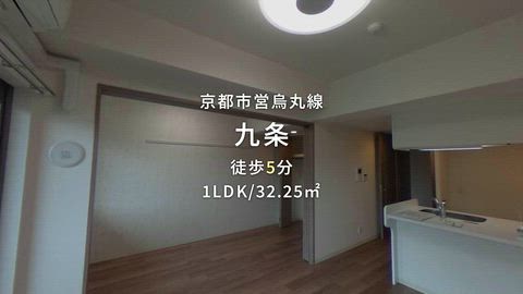 動画