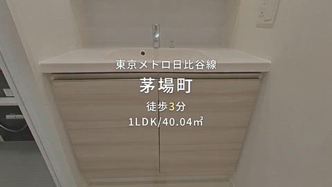 動画