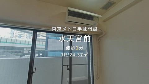 動画