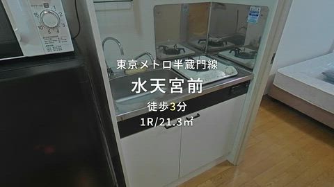 動画