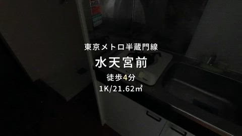 動画