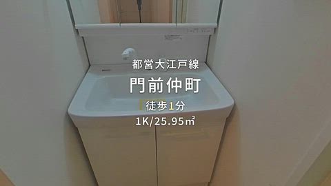 動画