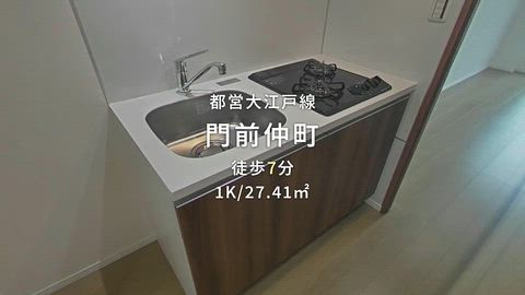動画