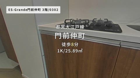 動画