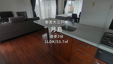 動画