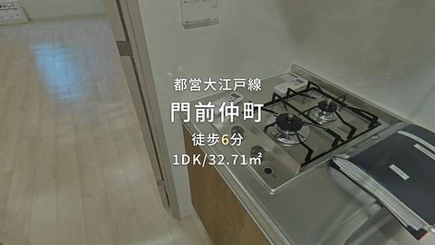 動画