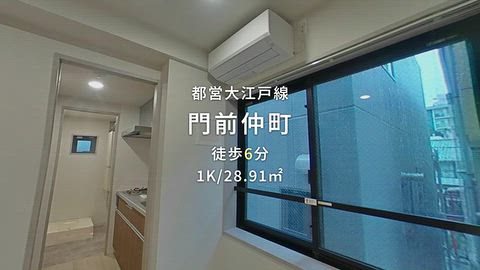 動画