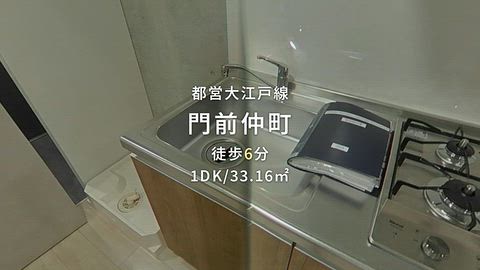 動画