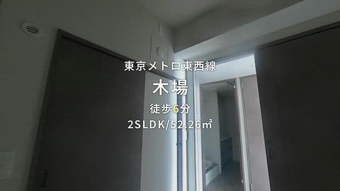動画