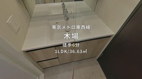 動画