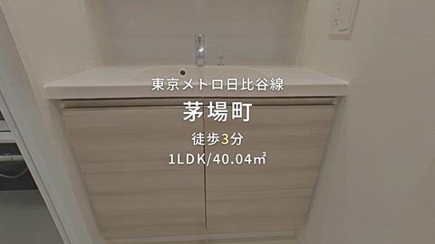 動画
