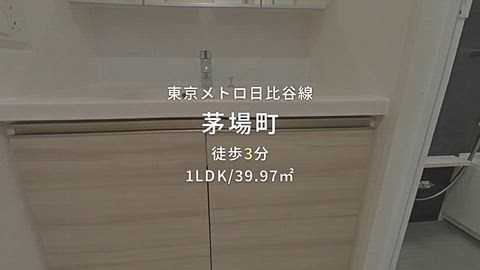 動画