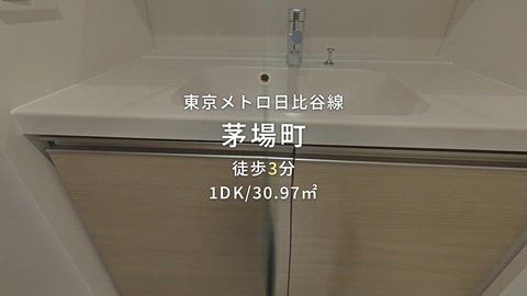 動画