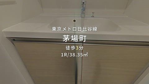 動画