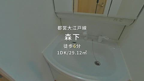 動画