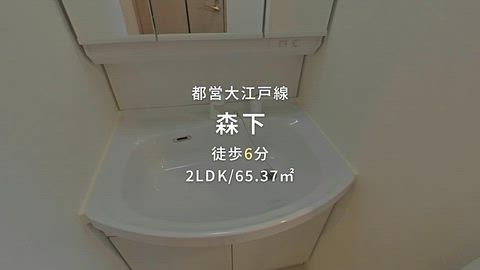 動画