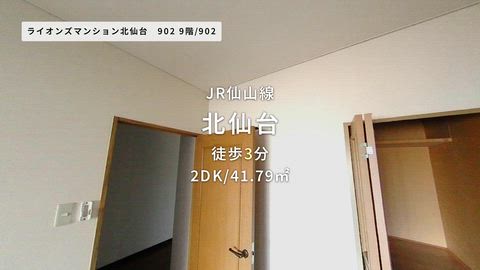 動画