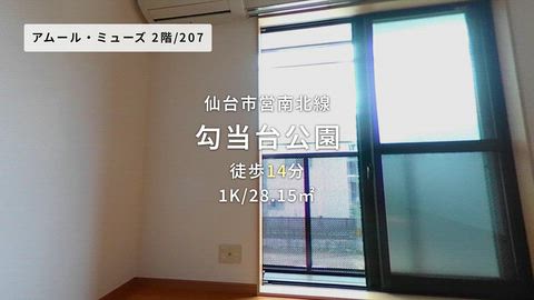 動画