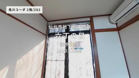 動画