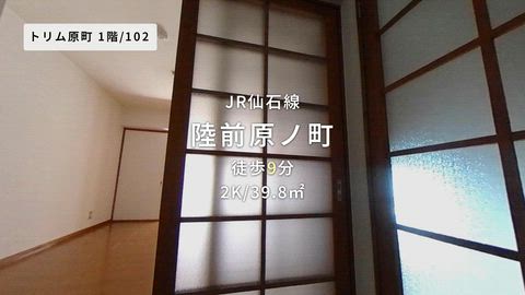 動画