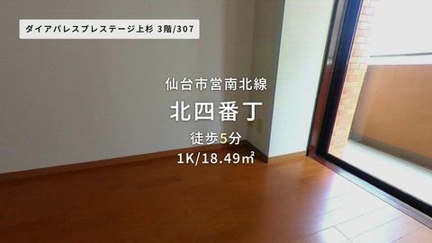 動画