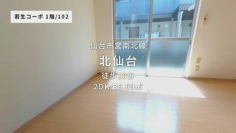 動画