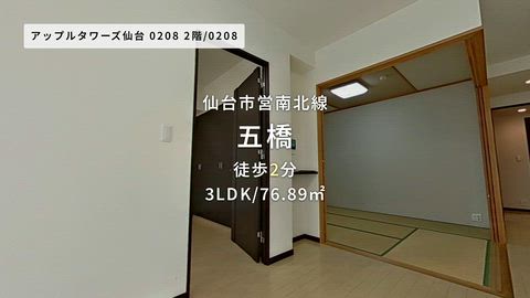 動画