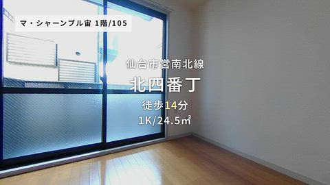 動画