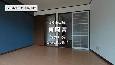 動画