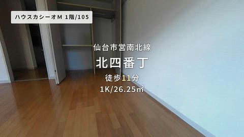 動画