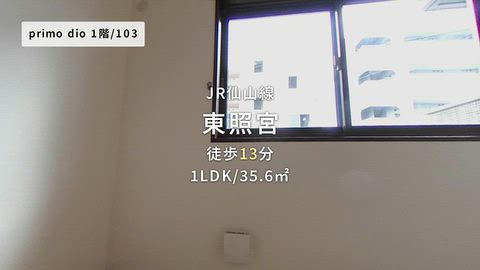 動画