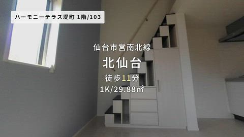 動画