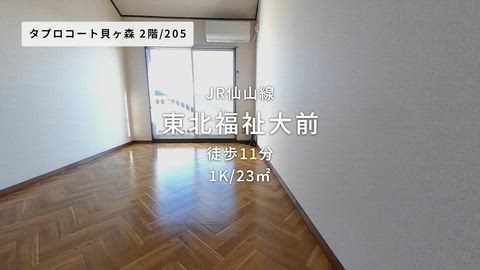 紹介ムービー