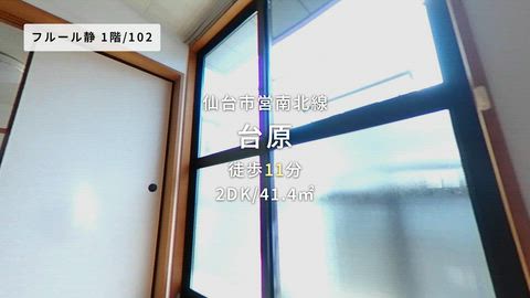 紹介ムービー