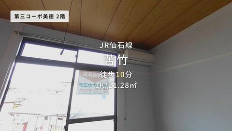 動画