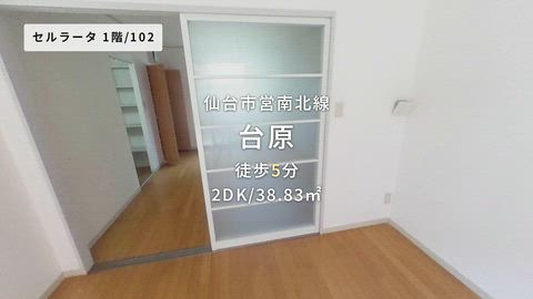 紹介ムービー