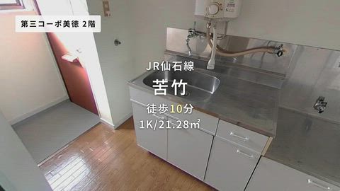 動画