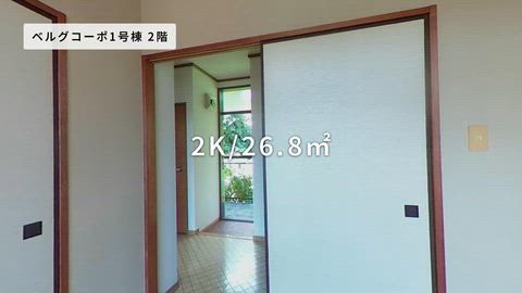 紹介ムービー