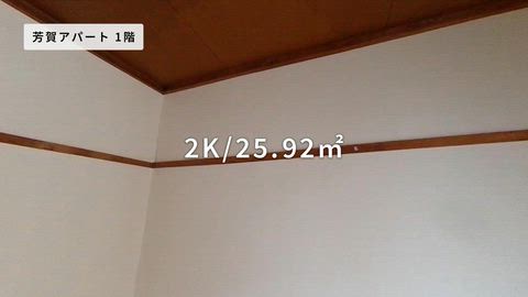 動画