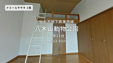 動画