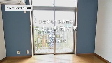動画