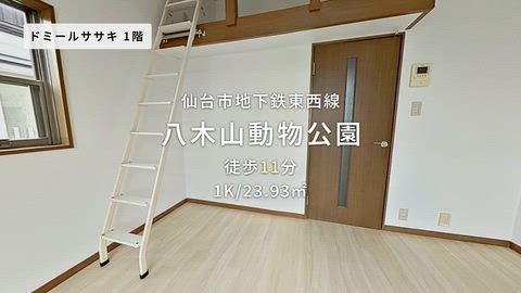 動画