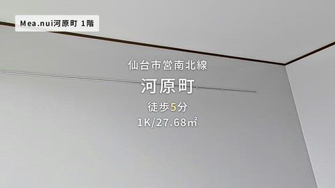 動画