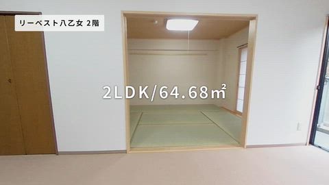 動画