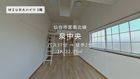 動画