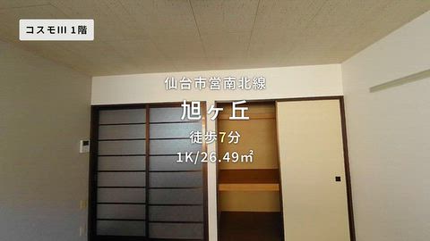 動画