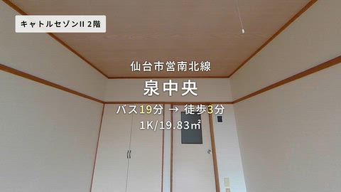 動画