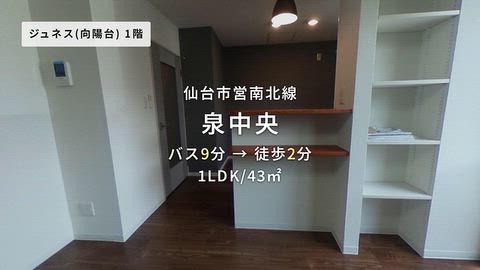 動画