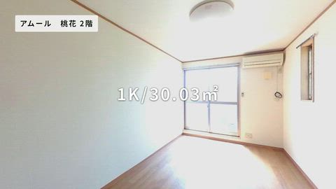 紹介ムービー